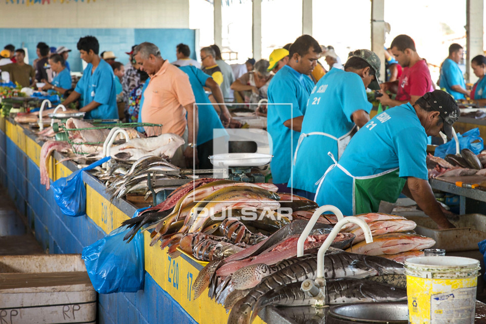 Mercado do Peixe da cidade
