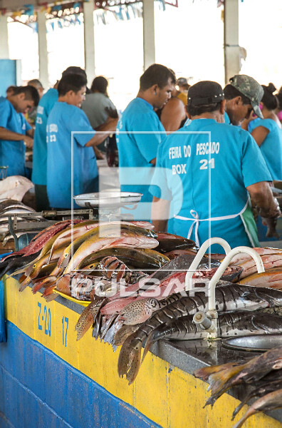 Mercado do Peixe da cidade