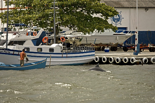 〇〇 中古] オーデマ・ピゲ CODE 11.59 バイ オーデマ ピゲ クロノグラフ