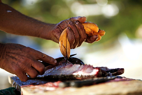 Pessoa limpando tainha na praia da Lagoinha do Norte em Florianópolis - SC