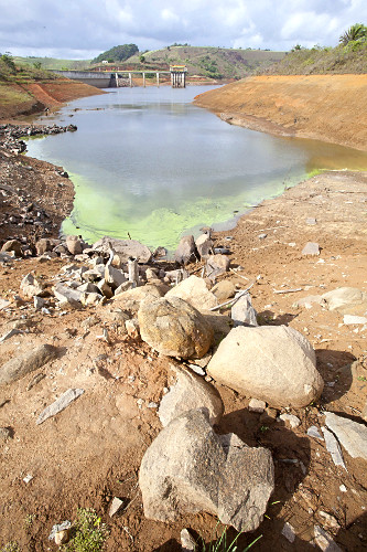 ソノマjr 瞬足 JJ-208 ネオンレッド】男の子用 2.5E｜速く走れる 《アルティマ