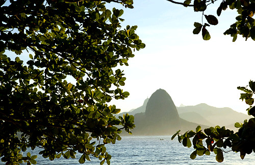 〇〇 中古] オーデマ・ピゲ CODE 11.59 バイ オーデマ ピゲ クロノグラフ