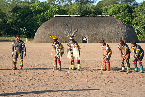 jauari | Pulsar Imagens | Banco imagens do Brasil