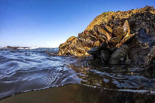 モーフィアスJW MST-JWC和 | Deviser ｜株式会社ディバイザー｜長野県松本市の