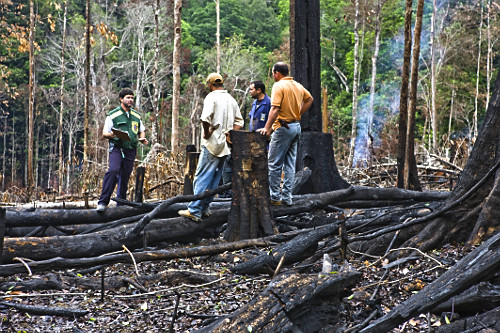 ibama | Pulsar Imagens | Banco imagens do Brasil