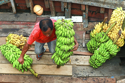 Carregador de bananas no porto Manaus Moderna