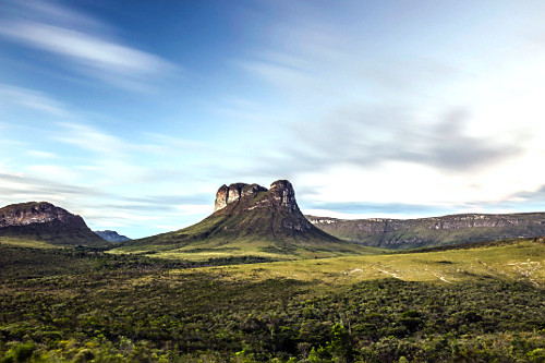 morrão | Pulsar Imagens | Banco imagens do Brasil