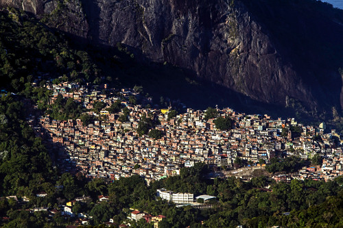 Mata Atlântica