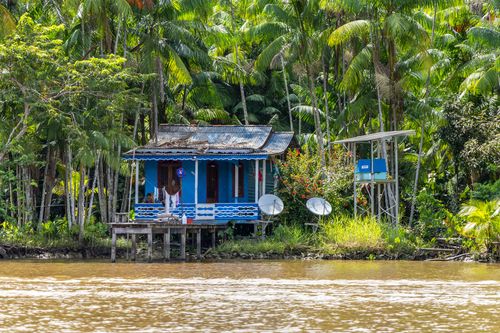 cab9f78fd7aceaW23YW専用 morrão | Pulsar Imagens | Banco imagens do Brasil