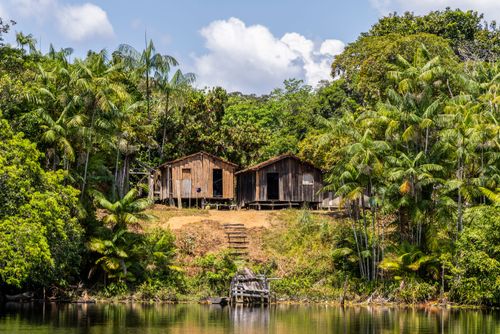 chiiページ Sutiã Anatômico Alta Cobertura com Bojo Removível sem