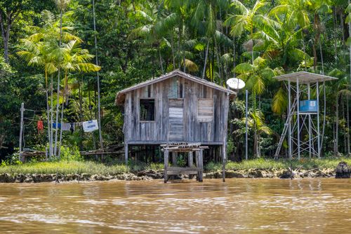 açaí | Pulsar Imagens | Banco imagens do Brasil