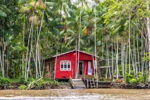 açaí | Pulsar Imagens | Banco imagens do Brasil