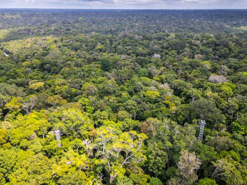 planície amazônica | Pulsar Imagens | Banco imagens do Brasil