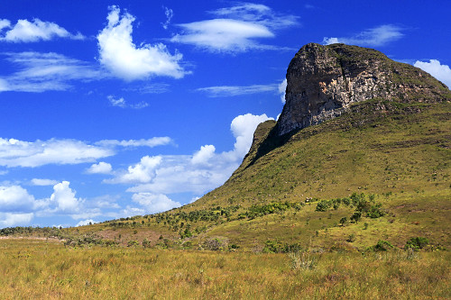 morrão | Pulsar Imagens | Banco imagens do Brasil