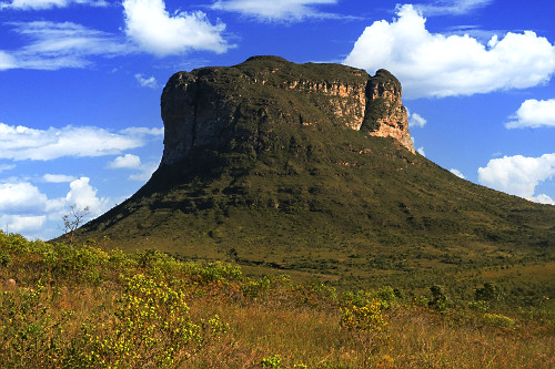 cab9f78fd7aceaW23YW専用 morrão | Pulsar Imagens | Banco imagens do Brasil