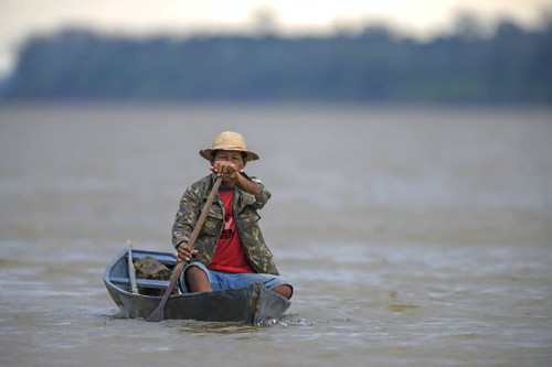 rio japurá | Pulsar Imagens | Banco imagens do Brasil