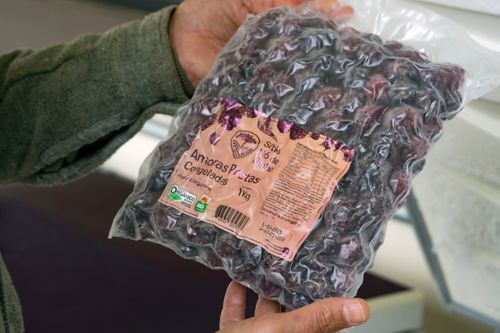 Pacote congelado de fruta in natura de amora preta orgânica e biodinâmica