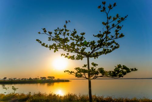 Pôr do sol nas margens do Rio Paraná neste trecho represado pela Usina Hidroelétrica de Ilha Solteira