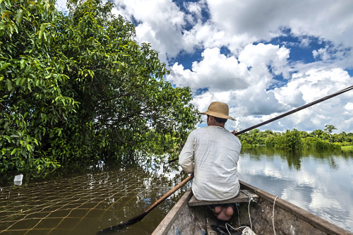 rio japurá | Pulsar Imagens | Banco imagens do Brasil