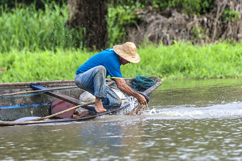 rio japurá | Pulsar Imagens | Banco imagens do Brasil