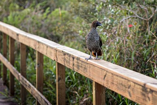 04EL947