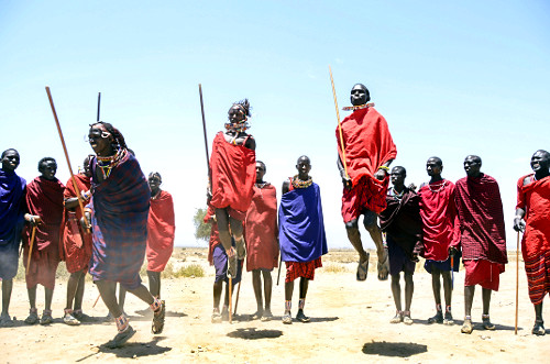 Grupo Maasai em apresentação da dança do pulo conhecida como Adumu - competição masculina de quem pula ma