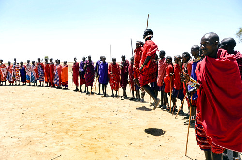 Grupo Maasai em apresentação da dança do pulo conhecida como Adumu - competição masculina de quem pula ma