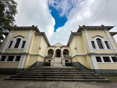 ＊mtmr＊ページ horto florestal | Pulsar Imagens | Banco imagens do Brasil