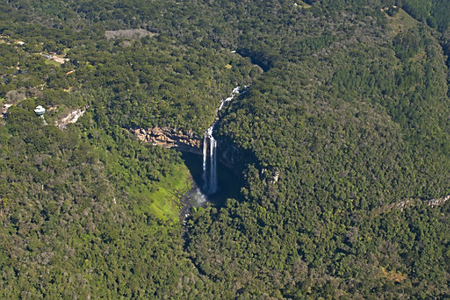 ⌘ Porte-Bonheur ⌘ページ coco de palmeira | Pulsar Imagens | Banco imagens do Brasil