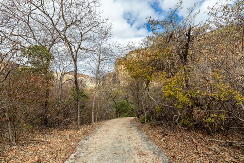 Caatinga secando no fim do outono no Parque Nacional da Serra da Capivara