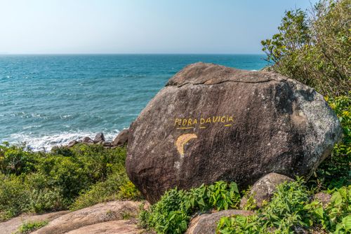 peixe pedra | Pulsar Imagens | Banco imagens do Brasil