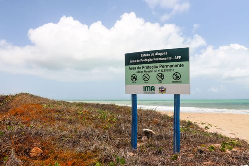 Placa de área de proteção permanente na Praia do Gunga