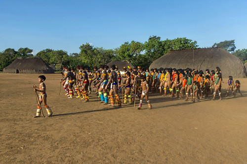 yamuricumã | Pulsar Imagens | Banco imagens do Brasil