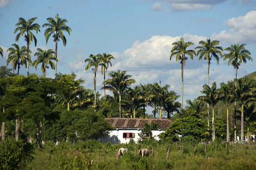 Habitação