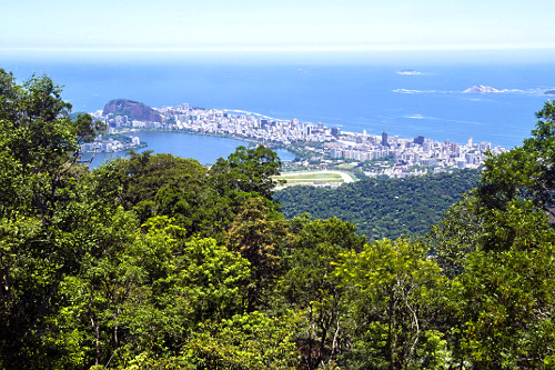 Vista aérea da estátua do Cristo Redentor no Morro do Corcovado ...