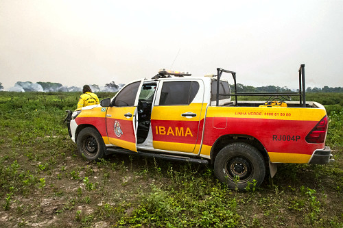 ibama | Pulsar Imagens | Banco imagens do Brasil