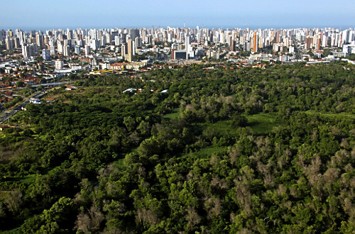COCOページ COCO BRAKE EX FROM BIRTH - AIRBUGGY | ベビーカーのエアバギー