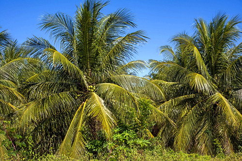 w*4様 779CHIYODAKOGAKUSUPERROKKOR5cmF1.8 デオーチョアデオーチョ de ocho A de ocho 楽チンキラキラ