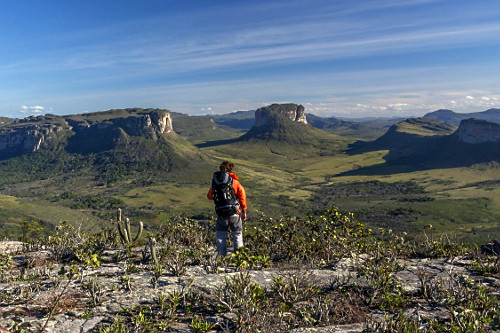 ౨ৎ ページ Carhartt】 LET GOD SORT'EM OUT HOODIE R6843 CARHARTT WIP X