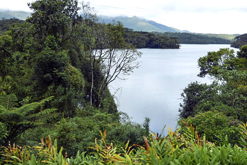 Mata Atlântica