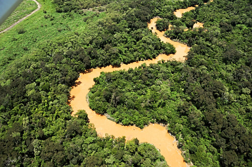 Mata Atlântica