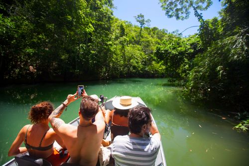 sososoページ rio formoso | Pulsar Imagens | Banco imagens do Brasil