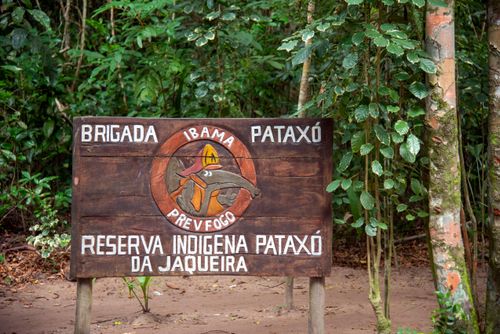 ibama | Pulsar Imagens | Banco imagens do Brasil