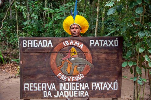 nao515さん専用ページ ibama | Pulsar Imagens | Banco imagens do Brasil