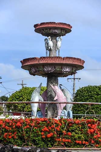 boto-cor-de-rosa | Pulsar Imagens | Banco imagens do Brasil