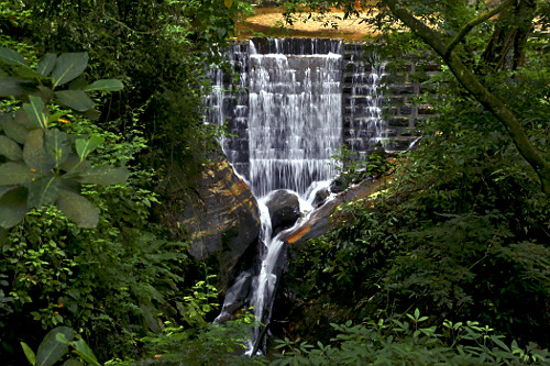 Mata Atlântica