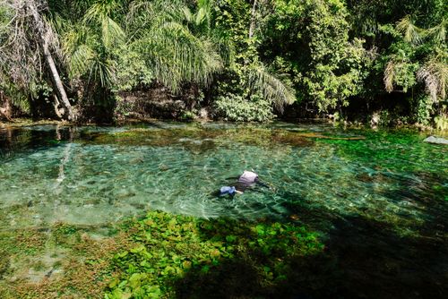 Ecoturista praticando mergulho livre na nascente do Rio Bonito - Complexo Turístico Nascente Azul