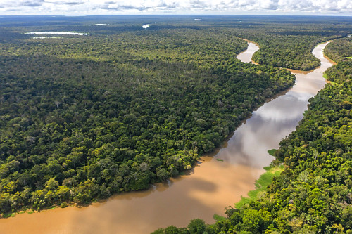rio japurá | Pulsar Imagens | Banco imagens do Brasil