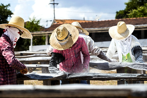 uyuページ USB 4 you Silver Base 4Bay (CFUMX4U40G) - 株式会社センチュリー