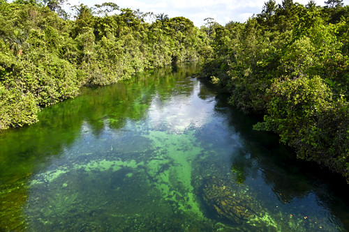 rio papagaio | Pulsar Imagens | Banco imagens do Brasil